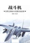 《战斗机：世界王牌战斗机暨空战实录》战斗机中的故事[pdf]